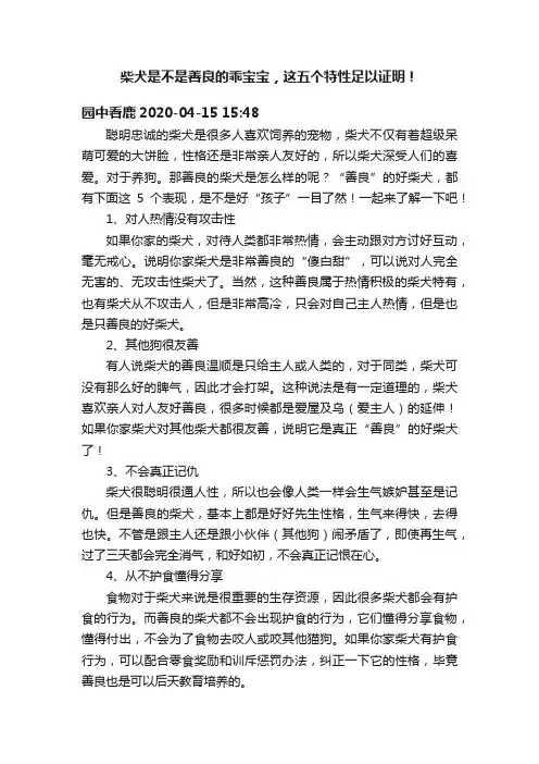 柴犬是不是善良的乖宝宝，这五个特性足以证明！