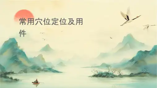 常用穴位定位及应用课件