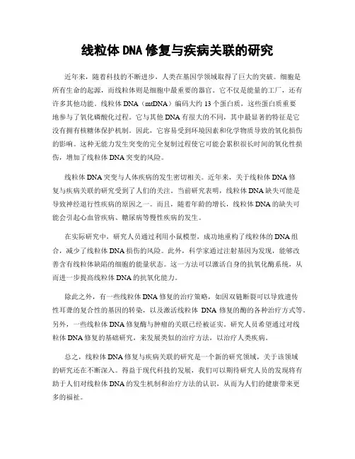 线粒体DNA修复与疾病关联的研究