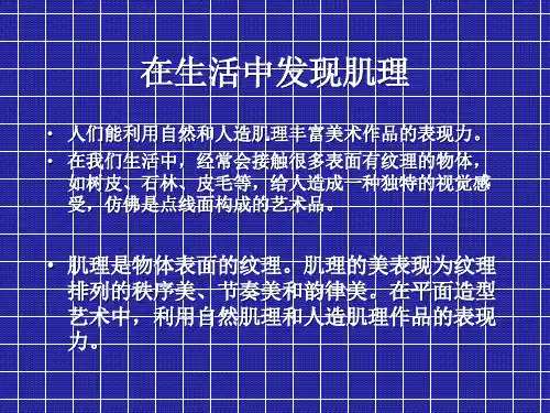 在生活中发现的肌理