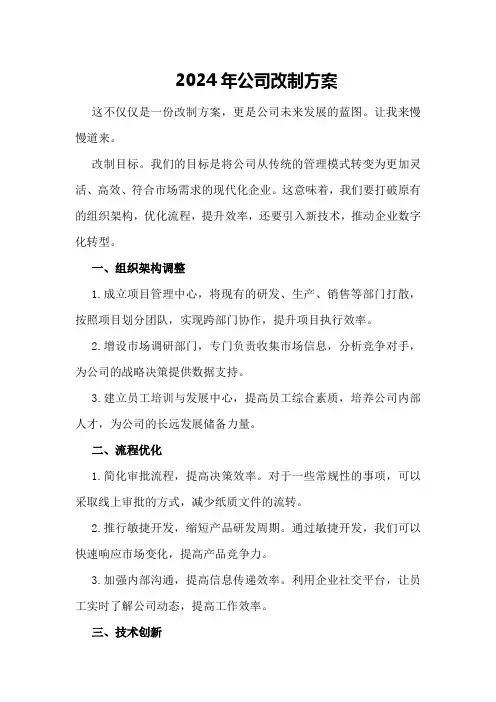 2024年公司改制方案