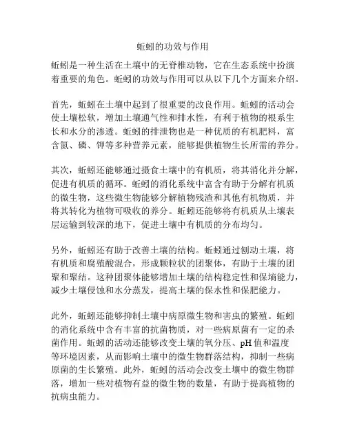 蚯蚓的功效与作用
