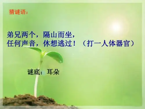 四年级语文上册习作四学用象声词作文 PPT精品优秀课件2苏教版