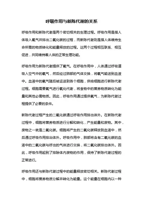 呼吸作用与新陈代谢的关系