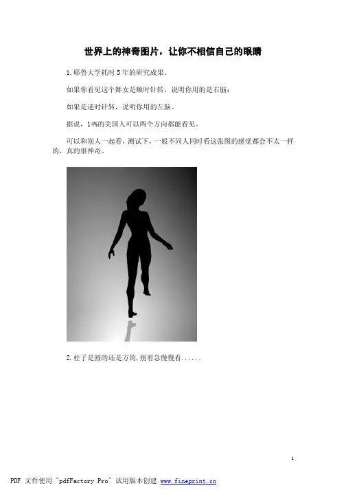 世界上的神奇图片