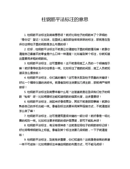 柱钢筋平法标注的意思