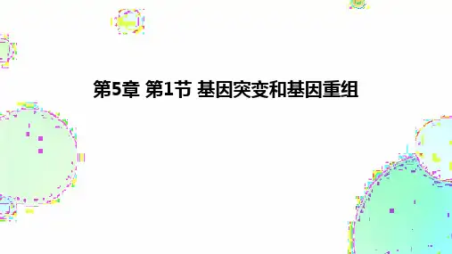 基因突变和基因重组课件(共40张PPT)高一下学期生物人教版2019必修2