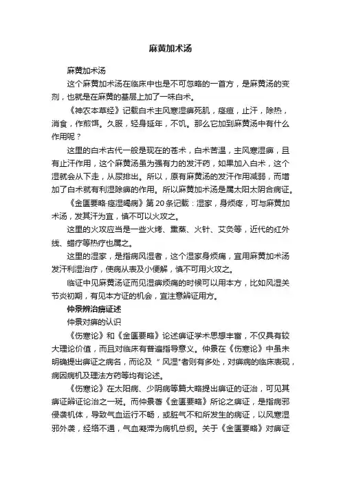 麻黄加术汤