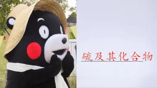硫及其化合物-高中化学人教版必修第二册