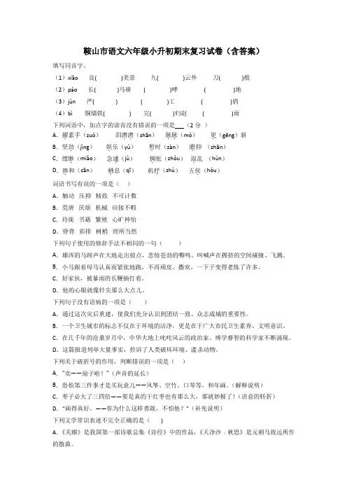 鞍山市语文六年级小升初期末复习试卷(含答案)