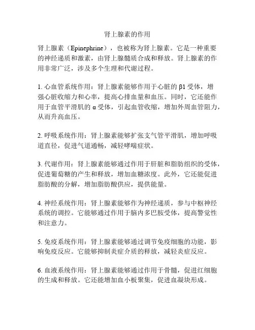 肾上腺素的作用