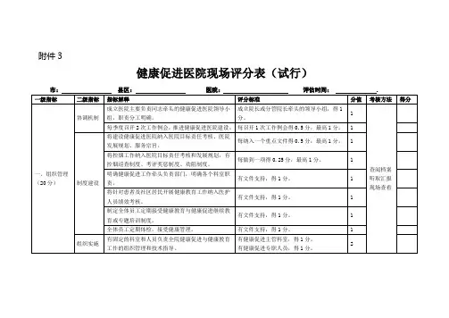 健康促进现场评分表