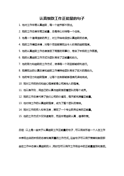 认真细致工作正能量的句子