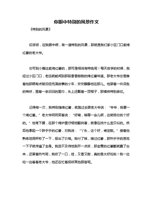你眼中特别的风景作文