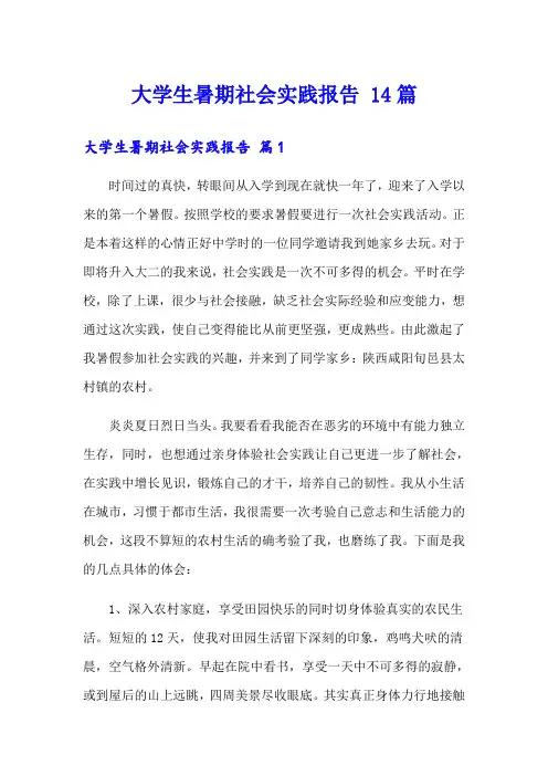 大学生暑期社会实践报告 14篇