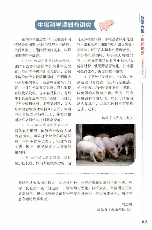 生猪科学喂料有讲究