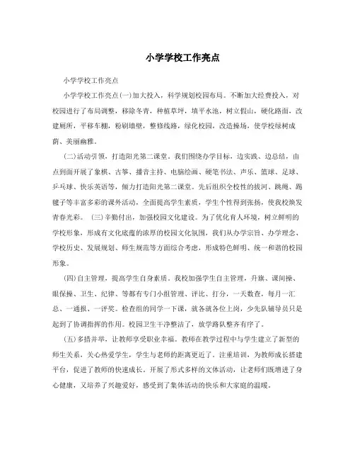 小学学校工作亮点