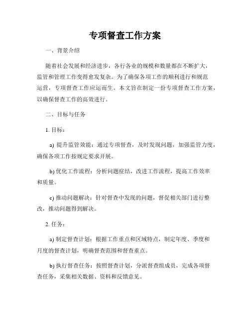 专项督查工作方案