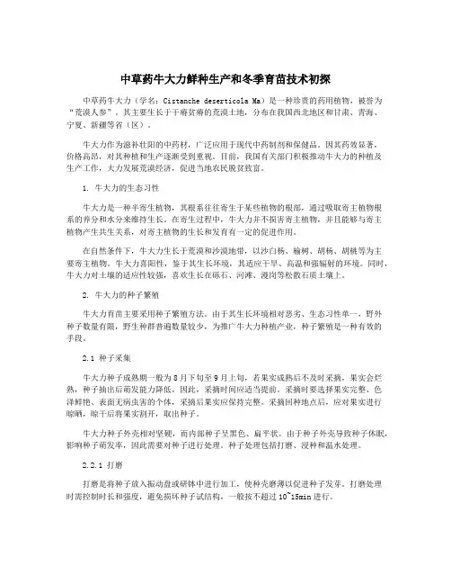 中草药牛大力鲜种生产和冬季育苗技术初探