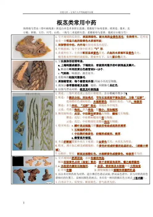 中药鉴定学简单记忆对照
