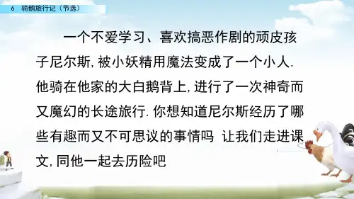 骑鹅旅行记ppt课件
