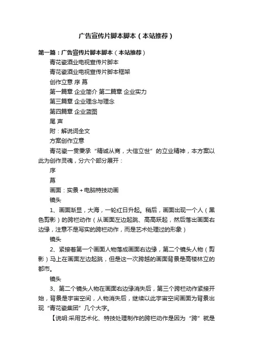 广告宣传片脚本脚本（本站推荐）