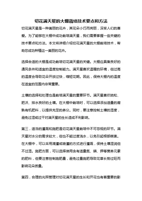切花满天星的大棚栽培技术要点和方法