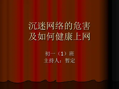 沉迷网络的危害.ppt