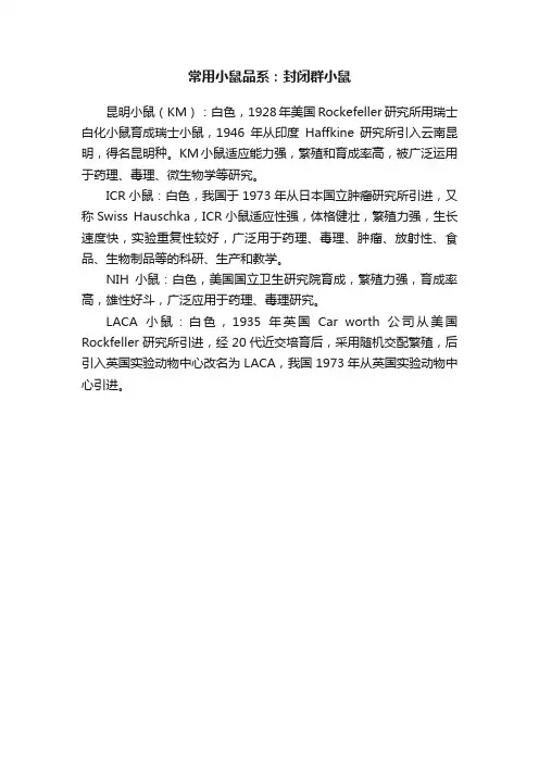 常用小鼠品系：封闭群小鼠