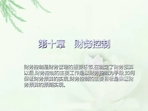 [财务管理]财务控制