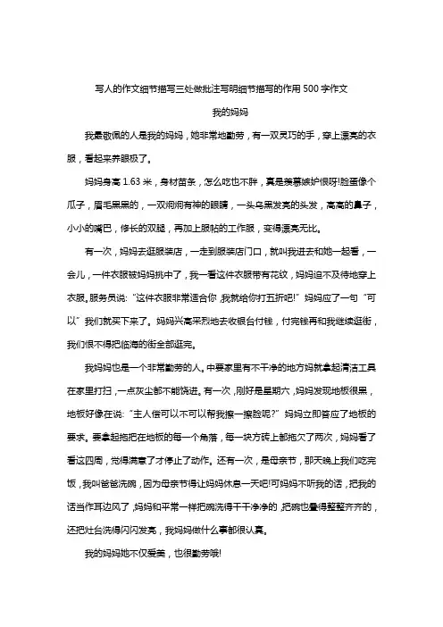 写人的作文细节描写三处做批注写明细节描写的作用500字作文