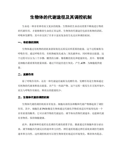 生物体的代谢途径及其调控机制