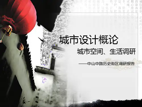 中山中路 河坊街 商业步行街 调研