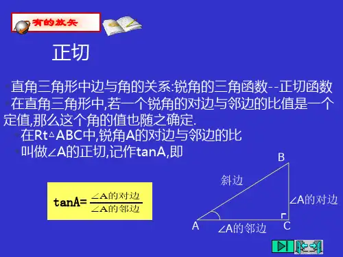 课件二11从梯子的倾斜程度谈起.ppt