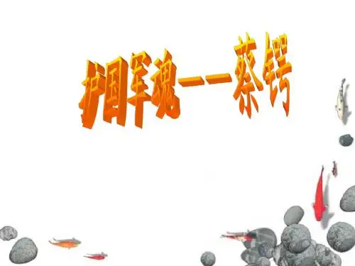 护国军魂