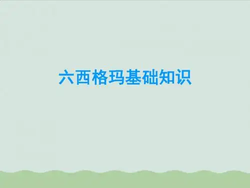 六西格玛基础知识培训讲义ppt(共32页)