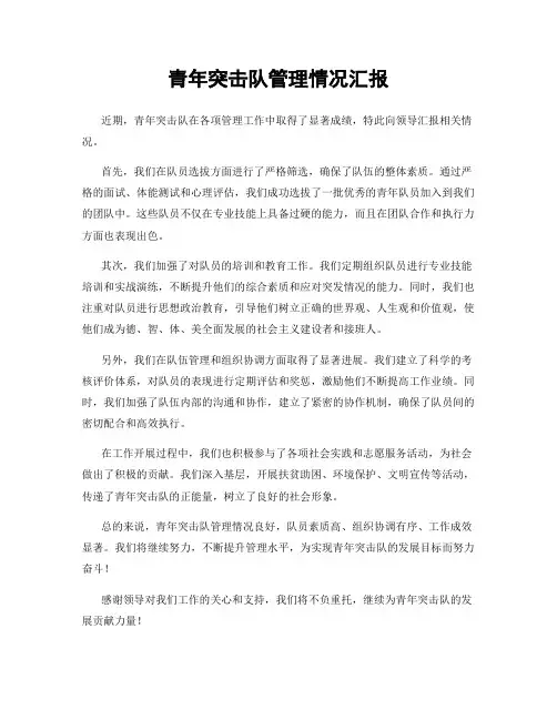 青年突击队管理情况汇报