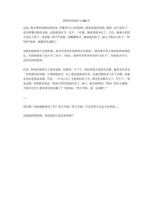 胖胖的妈妈作文500字