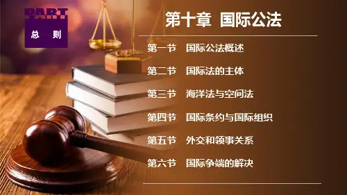 法学概论 第五版 第十章  国际公法