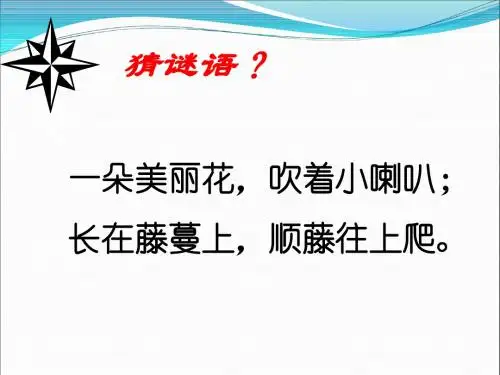 一年级下册语文课件-丁丁和牵牛花北师大版