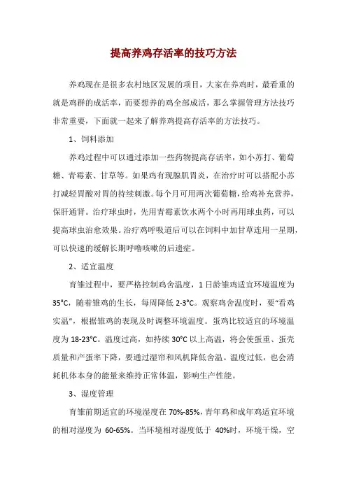 提高养鸡存活率的技巧方法
