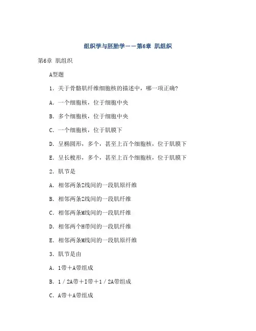 组织学与胚胎学――第6章 肌组织