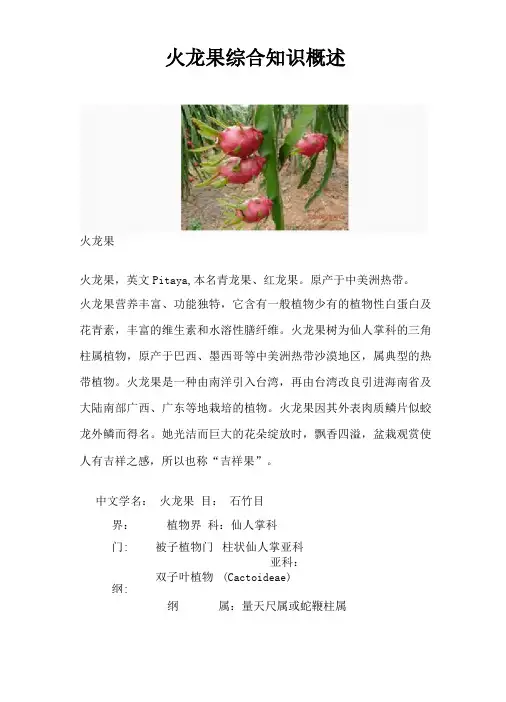 火龙果综合知识概述