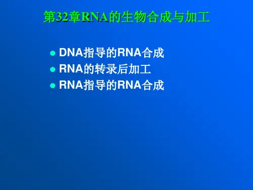 第32章RNA的生物合成与加工ppt课件