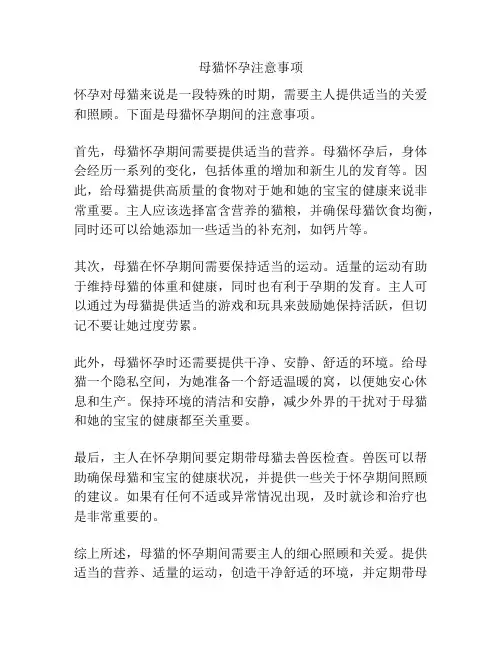 母猫怀孕注意事项