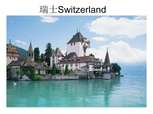 中国旅游客源地与目的地概况 课件 瑞士