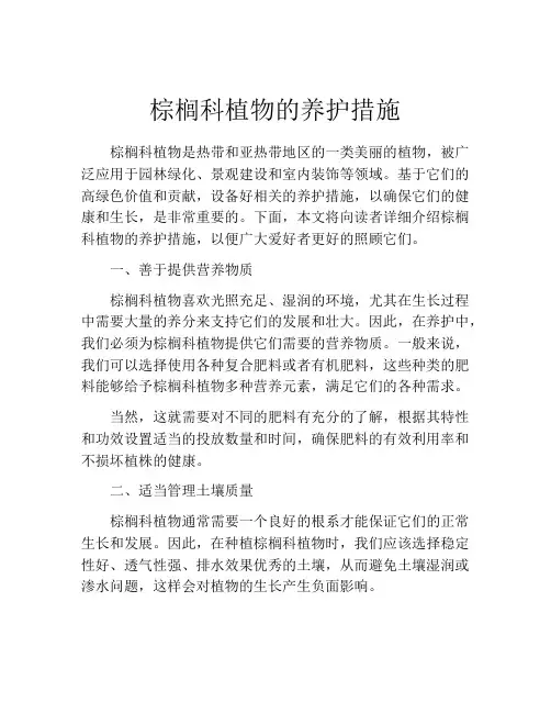 棕榈科植物的养护措施