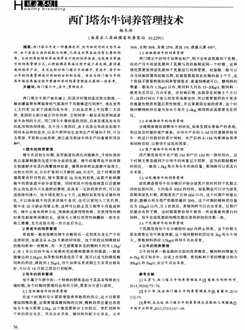 西门塔尔牛饲养管理技术