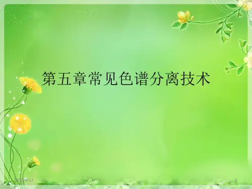 第五章常见色谱分离技术
