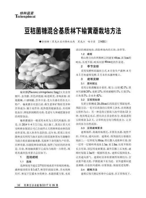 豆秸菌糠混合基质林下榆黄蘑栽培方法